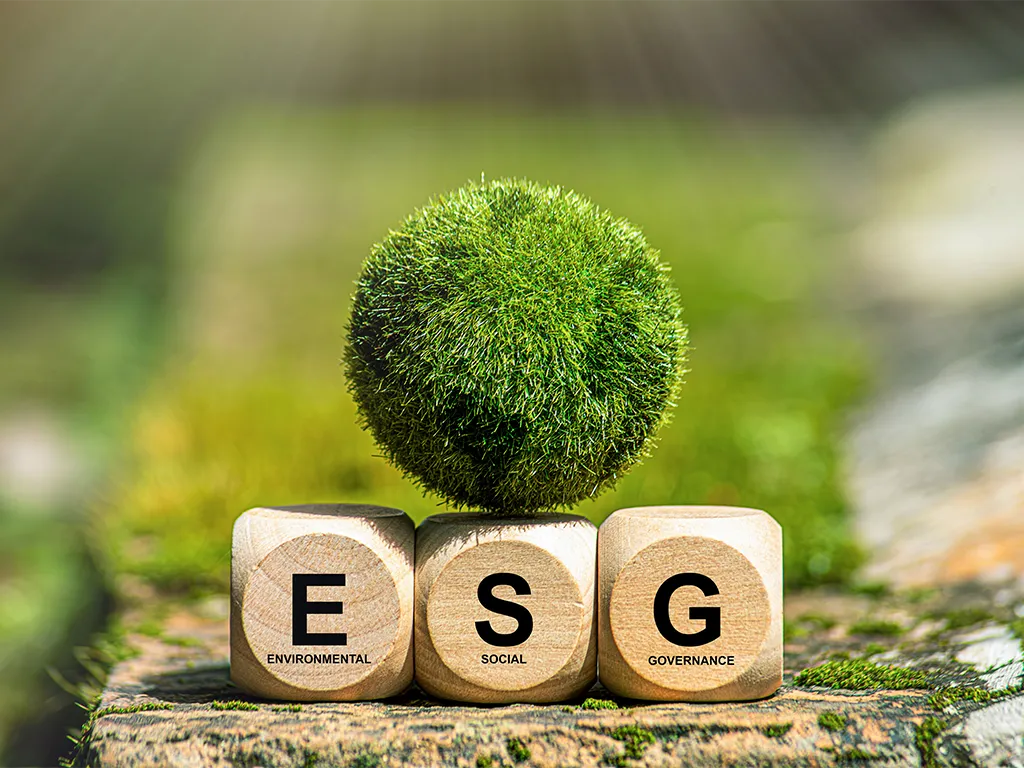 ESG diagnosis diagnóstico UHY Portugal